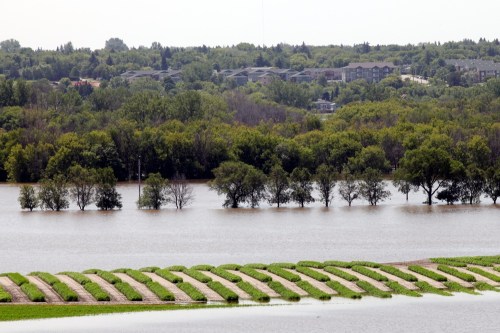 Flood water obscures Grand Valley Road and most of the crops in the eastern fields at the Brandon Research Centre west of 18th Street on July 4, 2014.