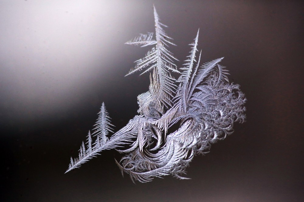 Matt Goerzen/The Brandon Sun
Intricate patterns of frost catch beams of light on a porch window on 15th Street over the weekend. Environment Canada predicts that the deep freeze that descended on much of Manitoba over the weekend will lessen briefly today, with Brandon reaching a high of -8 C, though we're right back into cold weather on Tuesday and a high of -19 C. Expect less frigid temperatures as the week progresses.