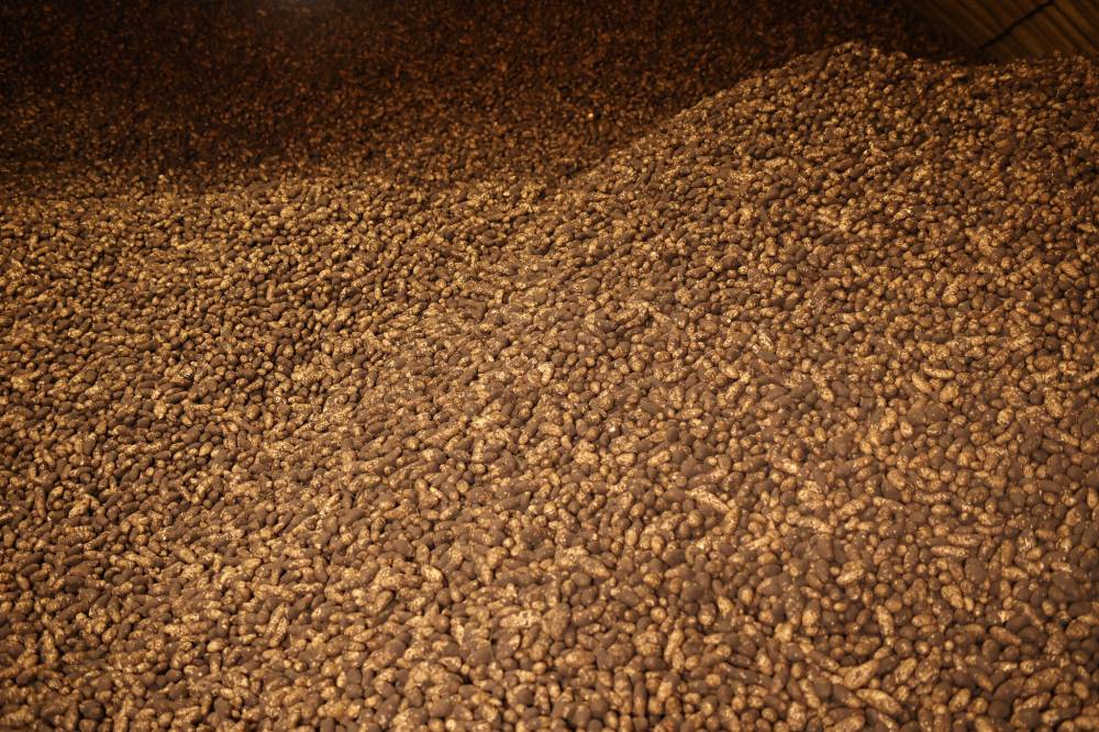 A giant mound of freshly harvested potatoes fill a storage cellar at E & B Farms northeast of Carberry on Wednesday. (Tim Smith/The Brandon Sun)