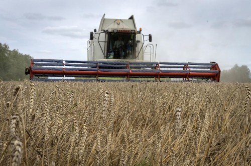 A harvester collects wheat in the village of Zghurivka, Ukraine, Tuesday, Aug. 9, 2022. Wheat futures prices jumped close to six per cent Monday morning on the news that Russia would reinstate a blockade preventing wheat shipments from leaving Ukraine ports. THE CANADIAN PRESS/AP-Efrem Lukatsky