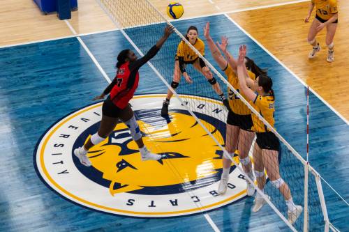 The Brandon University Bobcats protect the net from the University of Winnipeg Wesmen in a Canada West women's volleyball game at the Healthy Living Centre in January. David Docherty writes: 