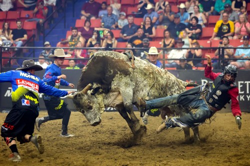 Jared Parsonage rides in the PBR Canada’s elite Cup Mazergroup Chute Out Series at Westoba Place in this file image taken earlier this year. The even is set to return in spring of 2023. (Chelsea Kemp/The Brandon Sun)