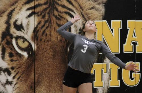 The No. 1-ranked Westgate Wings swept the host Neepawa Tigers on Friday to reach today’s varsity girls AAA provincial volleyball semifinals. (Thomas Friesen/The Brandon Sun)