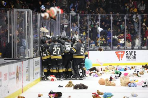 Teddy Bear Toss a way to spread the joy