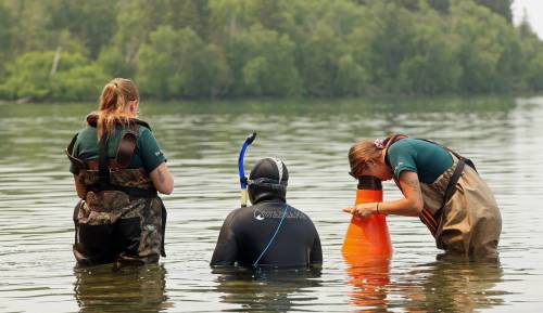 Parks Canada employees conduct visual inspections for signs of zebra mussels near Boat Cove at Clear Lake in July, 2024. Parks Canada announced Tuesday that eradicating zebra mussels from Clear Lake in Riding Mountain National Park is not feasible and this summer, will initiate a “one boat, one lake,” initiative. (The Brandon Sun files)