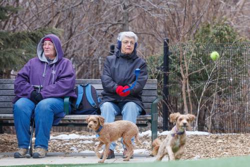Pet disease prevention: pay now, or pay more later