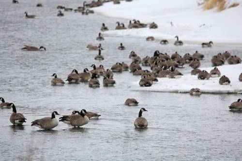 The miracle of spring brings joy after winter