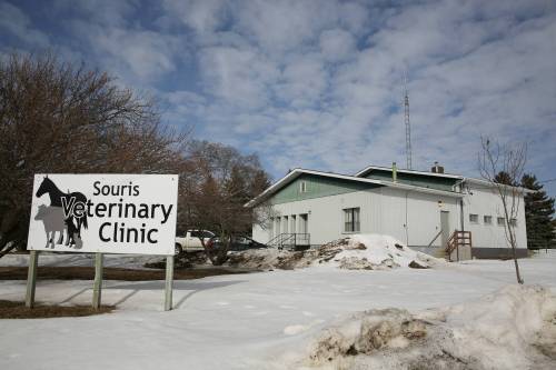 The Souris Veterinary Clinic is one of roughly two dozen clinics in Manitoba operated under a Veterinary Services District model. The model is being reviewed this year as the Minister of Agriculture, Ron Kostyshyn, looks for potential updates to the 50-year-old system. (Connor McDowell/The Brandon Sun)