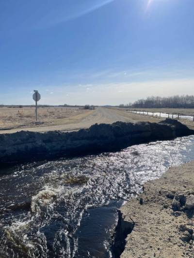 Water pours through a road in the Municipality of Russell-Binscarth in the spring of 2025. The municipality had the road excavated so that water could flow past without causing serious damage as it moved from Saskatchewan to the Assiniboine River. A meeting in Virden on Friday will bring together local councillors and stakeholders to discuss the issue moving forward. (File photo)