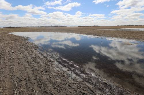 Farmland is covered with water in Glenboro. The issue has improved in recent years, thanks to efforts to free up the flow of water through the area, including the removal of beavers that build dams. (Connor McDowell/The Brandon Sun)