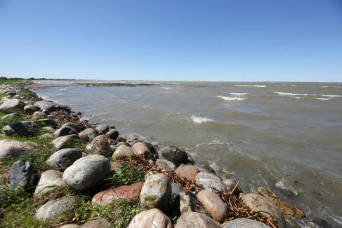 The shoreline at the Walleye spawning ground at Oak Lake Beach. (Connor McDowell/The Brandon Sun)