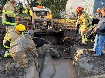 Melfort firefighters, citizens rescue exhausted horse from muddy pit