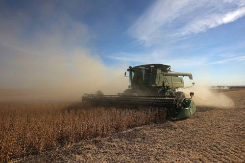 LEFT AND RIGHT: A combine harvests soybeans during the harvest.